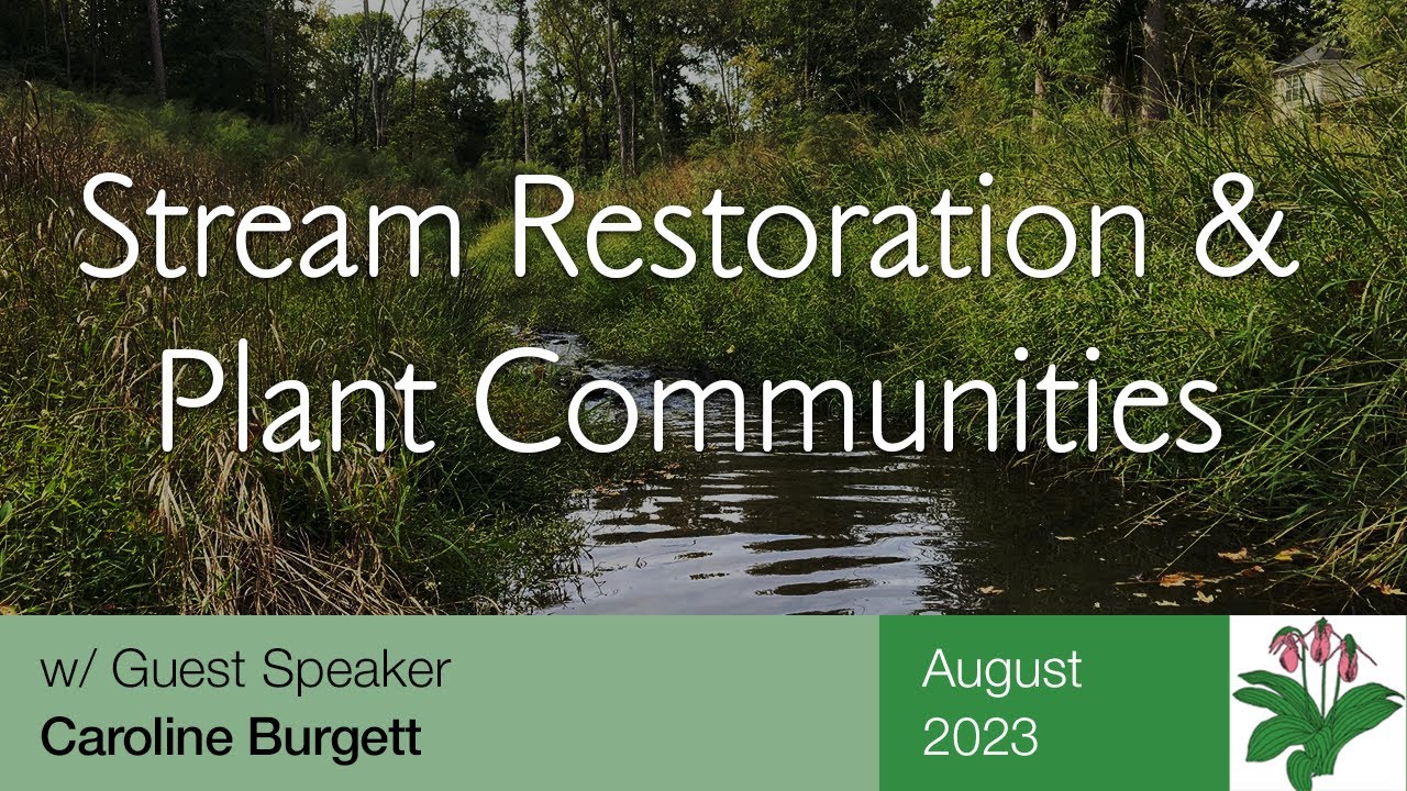 Stream Restoration & Plant Communities - Southern Piedmont Chapter - August 2023
