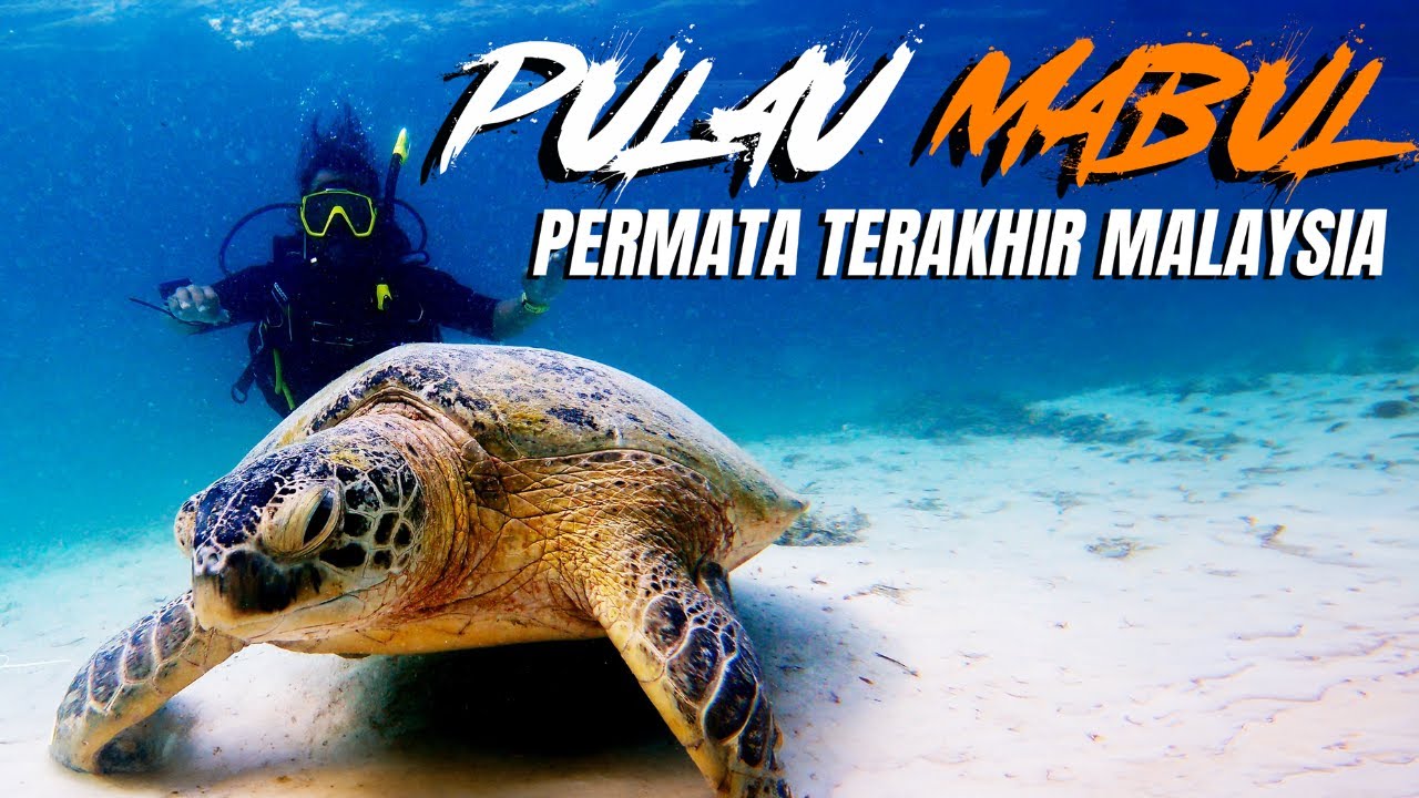 PULAU MABUL, Sabah - PERMATA terakhir Malaysia 70% kecantikan dunia di dasar laut. Aku KAGET❗️