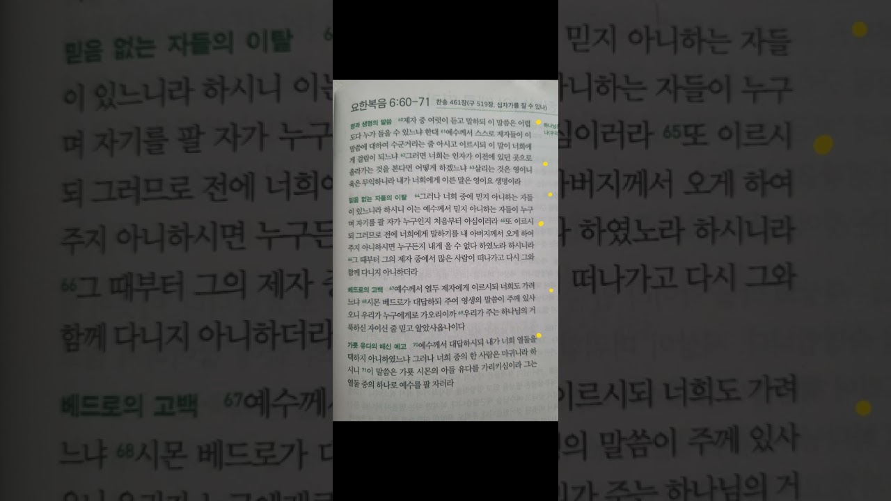 2026년 2월 20일