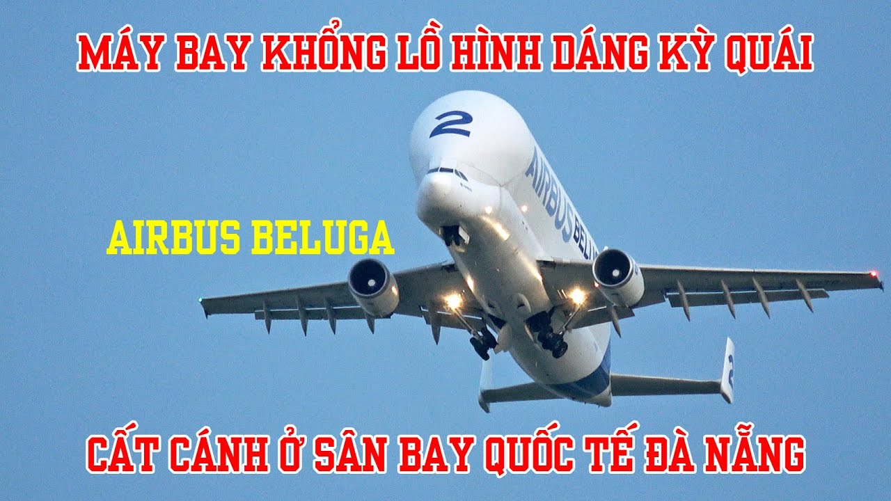 Cận cảnh toàn bộ quá trình cất cánh của chiếc máy bay BELUGA khổng lồ ở sân bay Đà Nẵng.