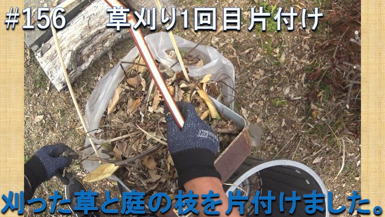 #156 草刈り１回目片付け　いつもは、刈りっぱなしにしています。メリケントキンソウの絶滅が目的なので、刈った草を片付けます。