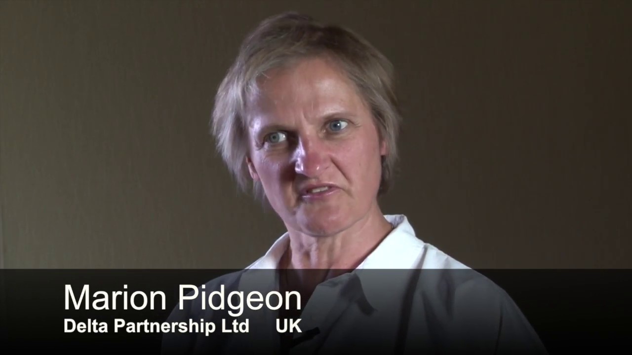 Advanced Practitioner in Executive Coaching - Testimonial by Marion Pidgeon