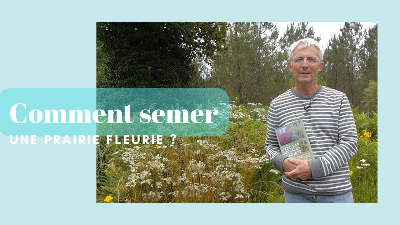 Comment semer une prairie fleurie ? - Monjardindansleslandes
