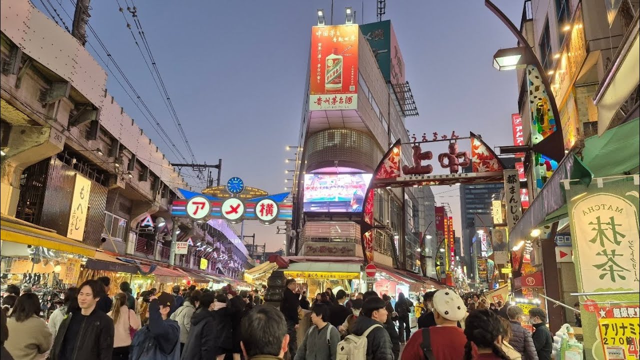 5th Japan Trip Day 3: First Full Day:: Filmed on 12/6/25