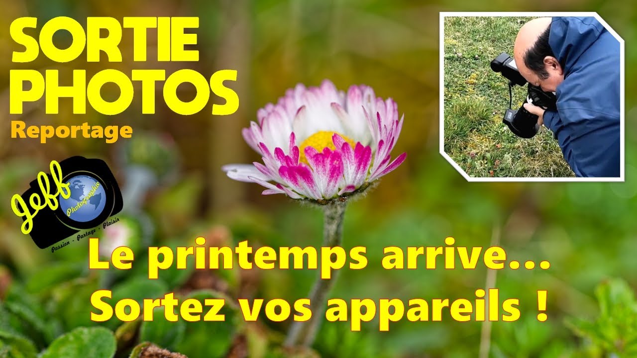 Sous l&rsquo;Objectif : Ces Fleurs Qui Annoncent le Printemps - Proxi Photos - Episode N&deg;704