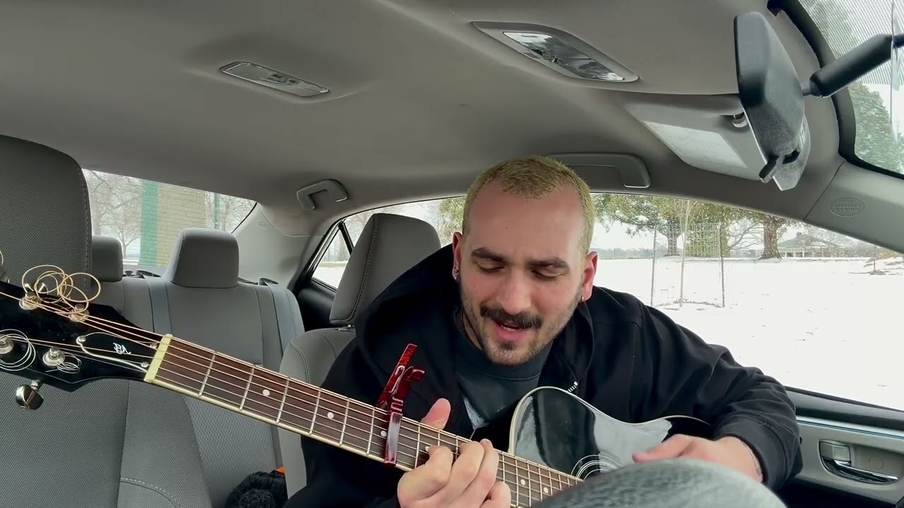 Au Pays du Cocaine - Geese (cover in the car)