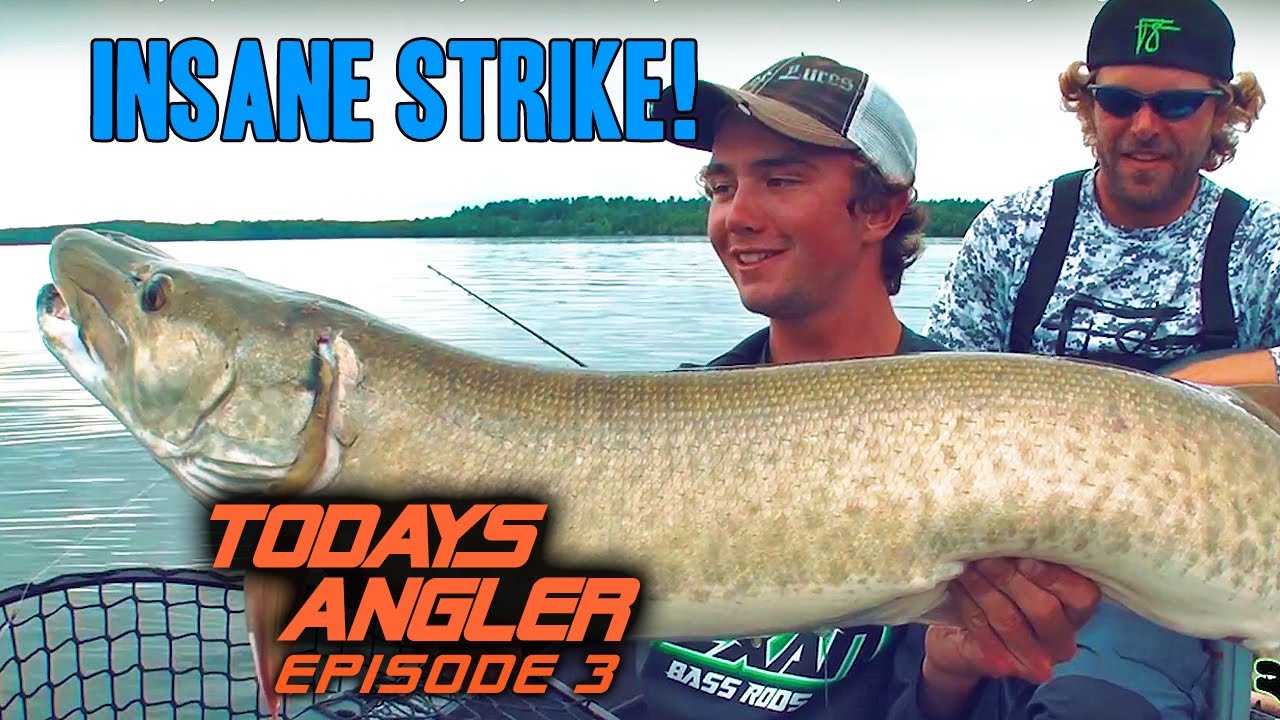 Insane Musky Topwater Strikes - 