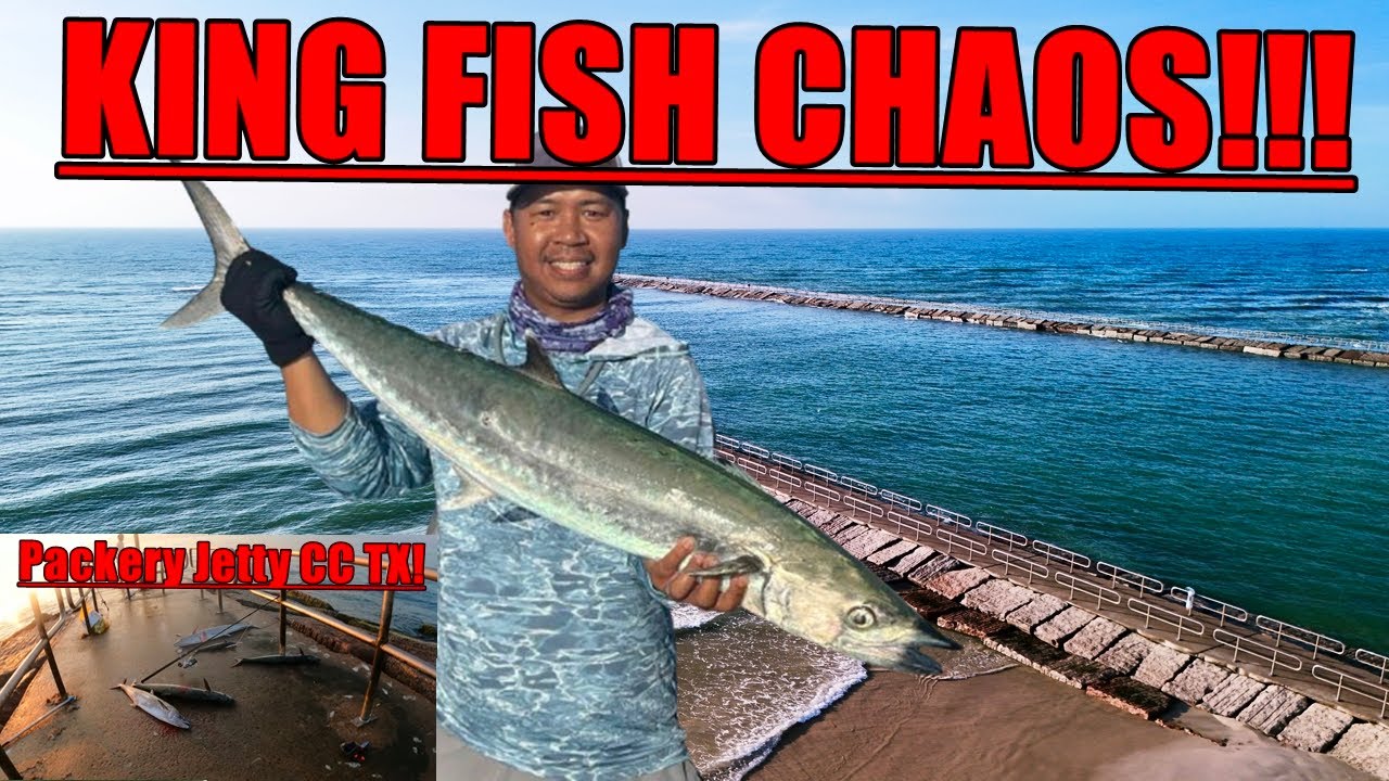 Insane Kingfish Action  at Packery Jetty Catch n Cook ( Corpus Christi Fishing )