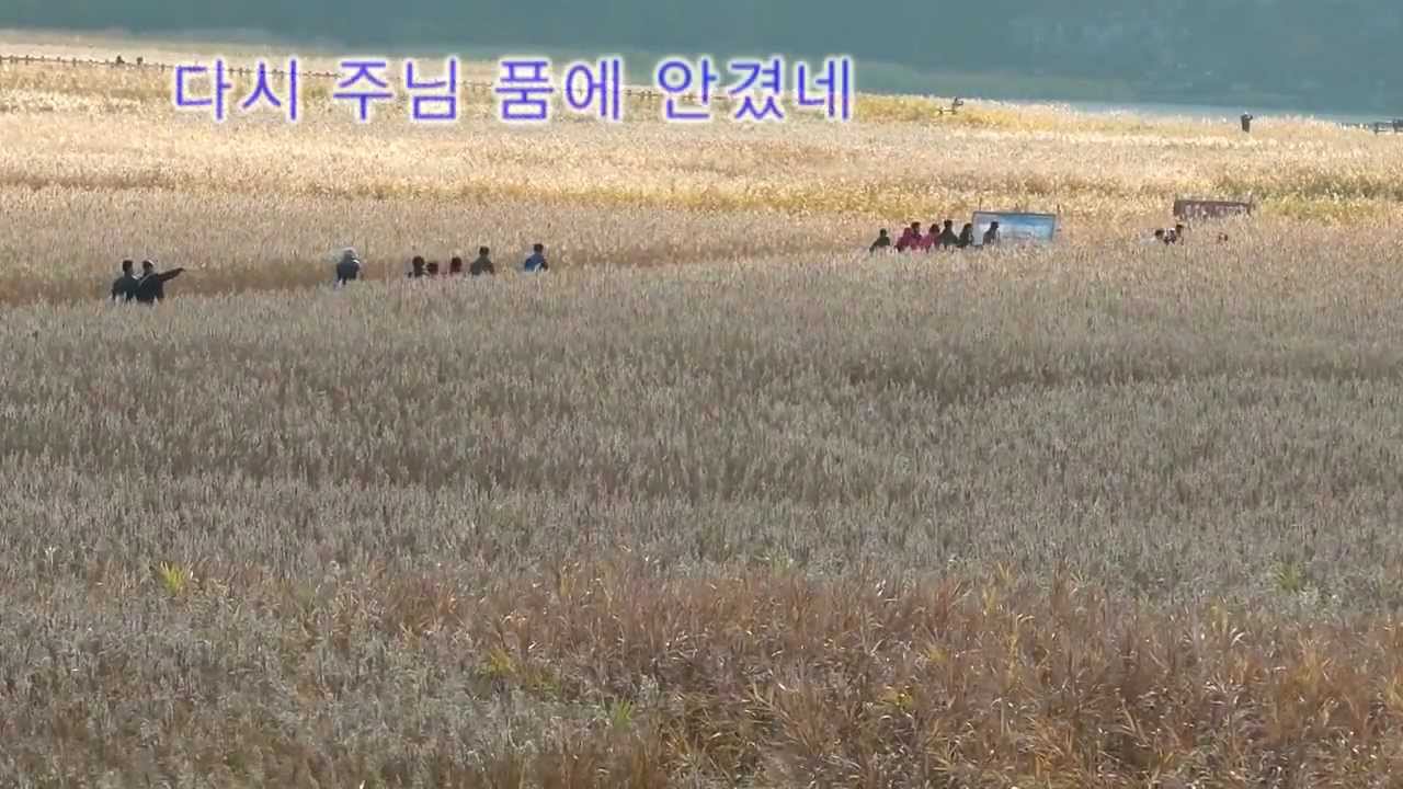 (복음영상) 그 길고 긴 방황의 늪을 지나 - 숲으로 입체로