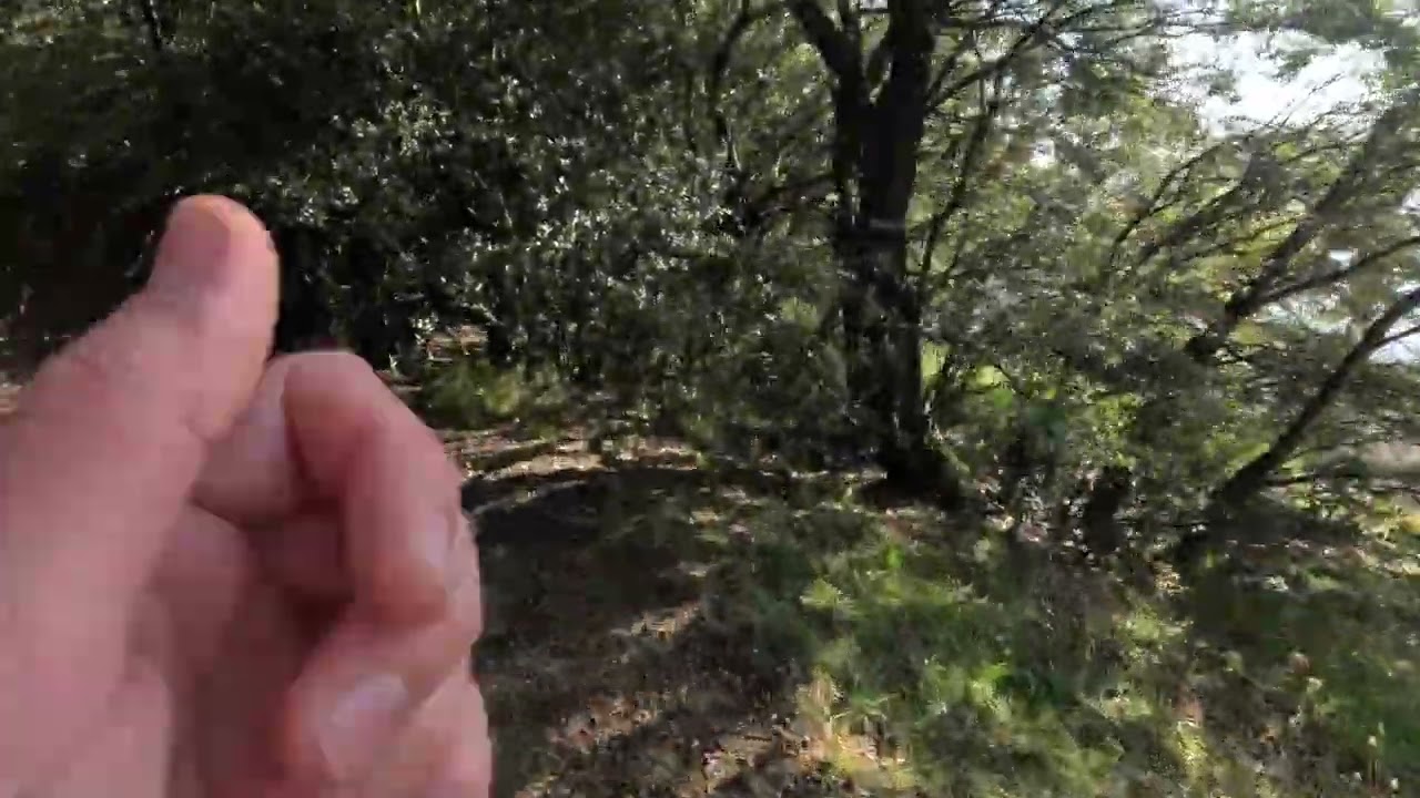 Valcuevo Run