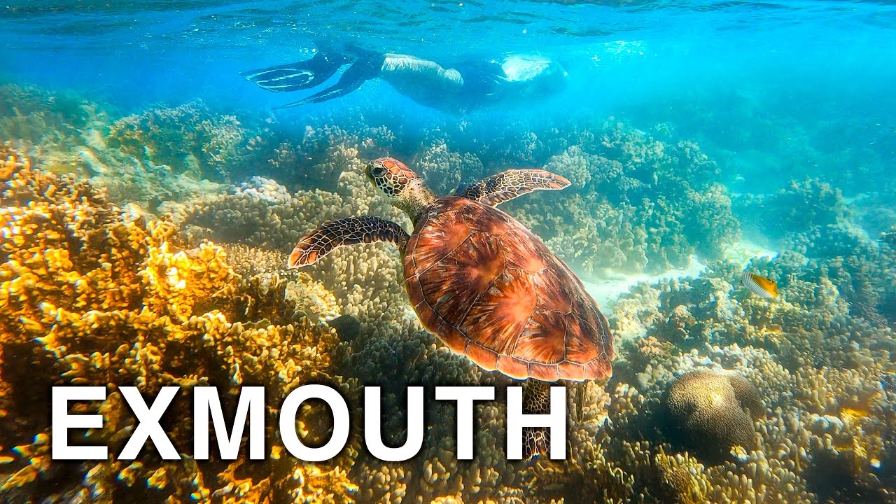 Exploring Exmouth & Carnarvon (Van Life Western Australia)