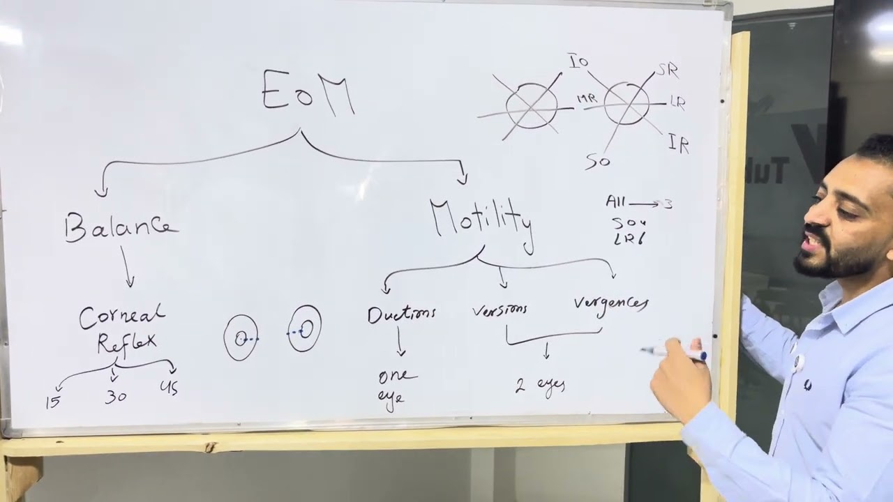 Extra-ocular muscles examination 