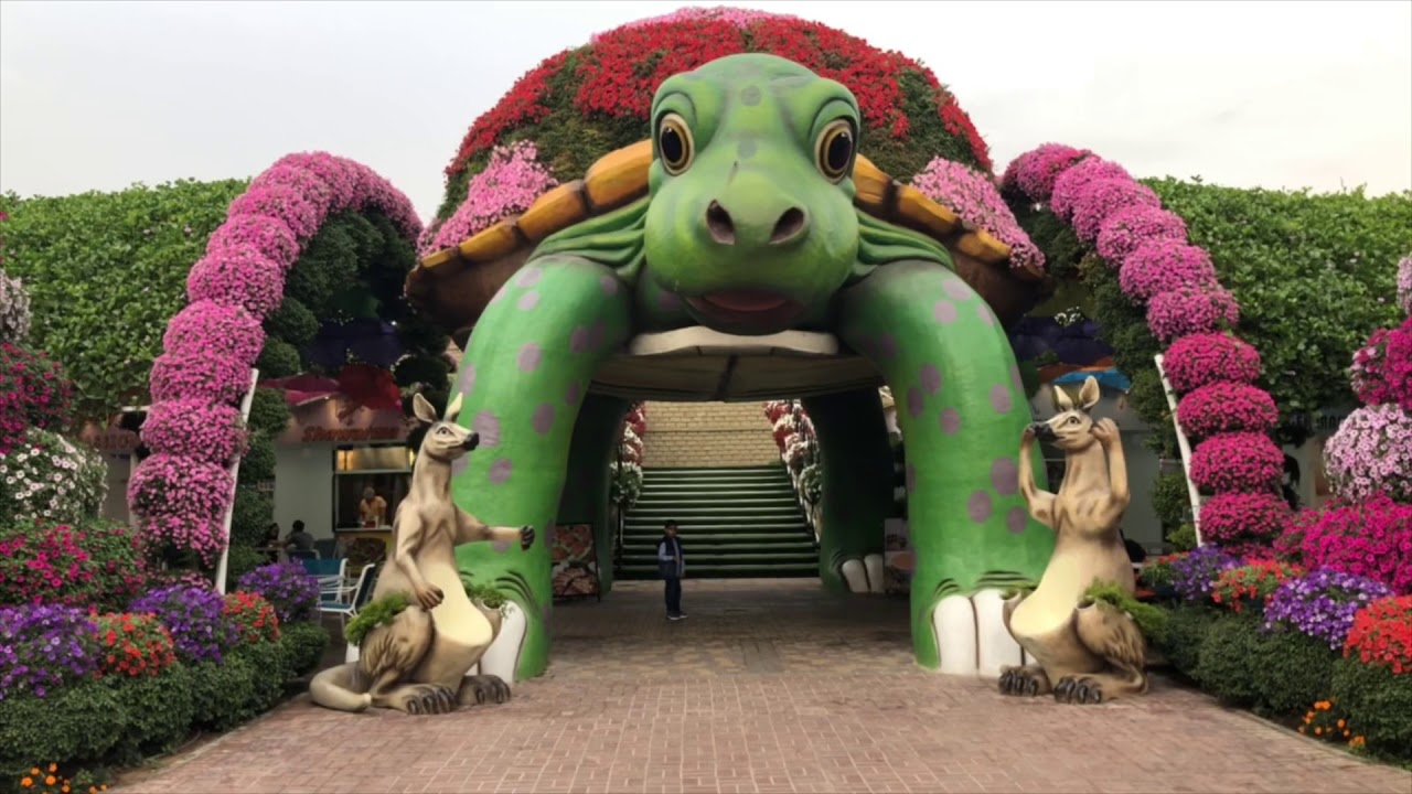 حديقة دبي المعجزة  Dubai Miracle Garden 2020/2019