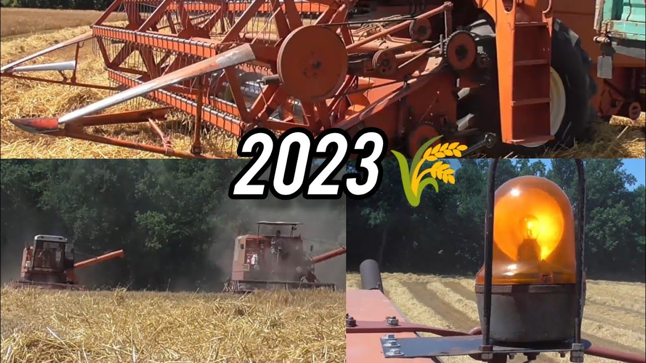 Żniwa z dźwiękiem bizonów - wspomnienia z wakacji 2023