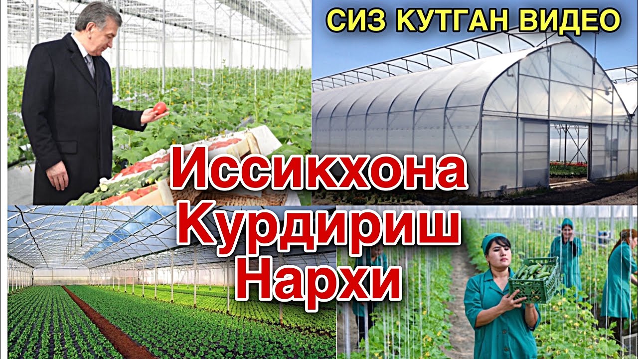 Иссикхона ва Мини стадион куриш хизмати ва курдириш нархи канча туришини билиб олинг