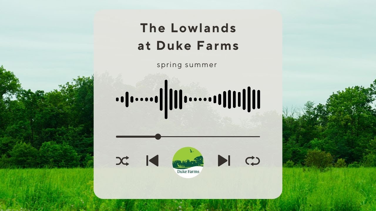 The Lowlands at Duke Farms - Spring Summer