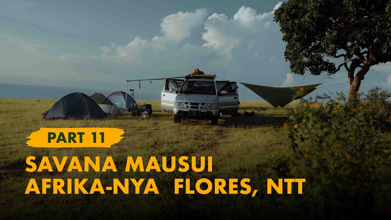 KELANA BENTALA -  Eps.  11 Savana Mausui, Terluas di Pulau Flores