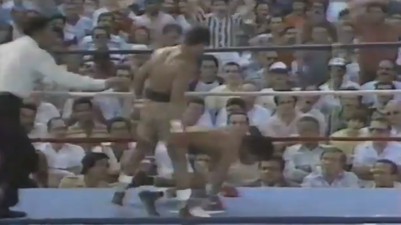 WOW!! WHAT A KNOCKOUT | Hector Camacho vs Rafael Limon, Full HD Highlights