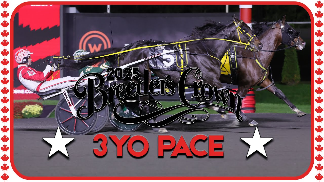 2025 Breeders Crown | Sippinonsearoc | 3CP