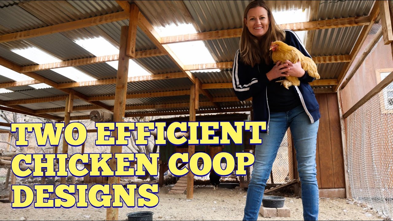 Two EFFICIENT Chicken Coop Designs | Open Door AD Style