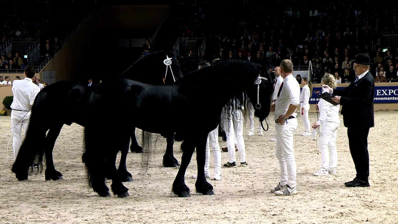 HK 2023 | Rubriek 2 | Alwin 469 en Eise 489