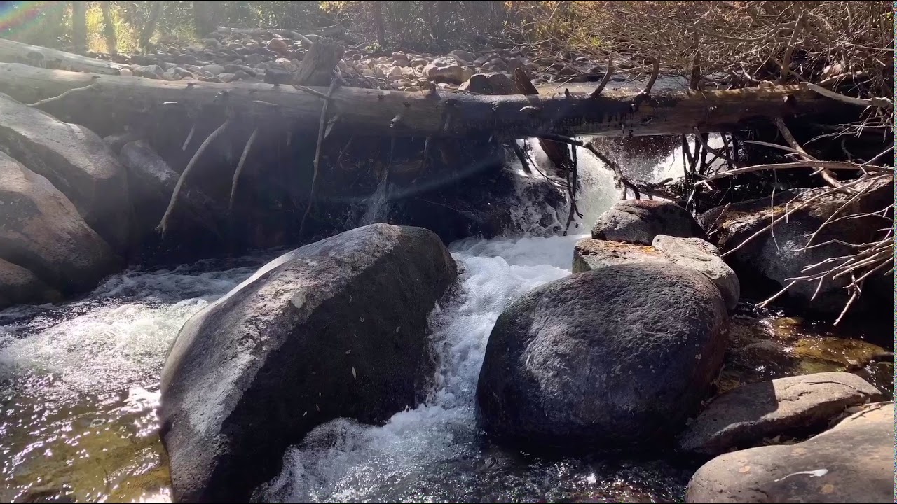 Dry Fly Fishing:  Rocky Mountain National Park - The Wild Basin: N. Fork of the St. Vrain for Trout