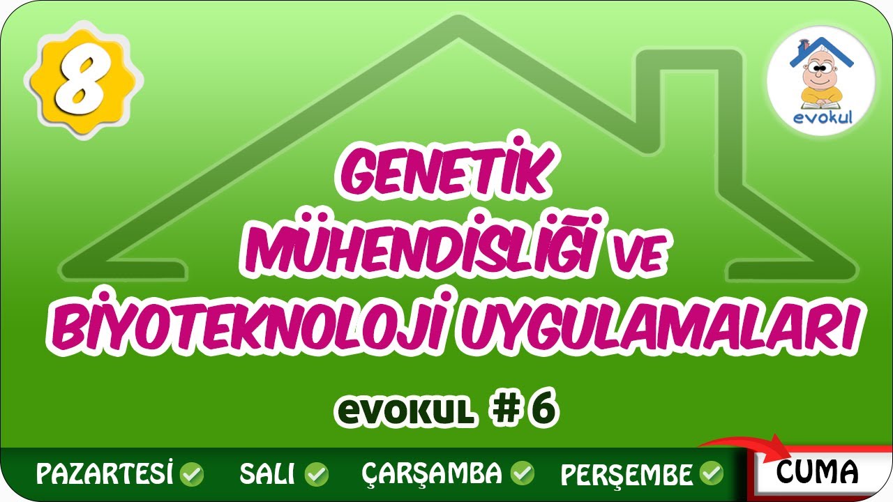 Genetik Mühendisliği ve Biyoteknoloji Uygulamaları | 8.Sınıf #uzaktanegitim #evokul Kampı