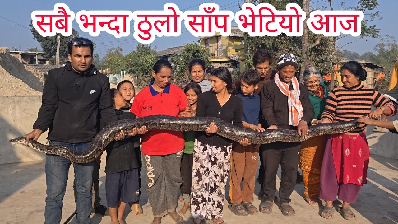 🐍😱 नेपाल को सबै भन्दा ठूलो अजिङ्गर साँप भेटियो आज || Python snake rescue in Nepal