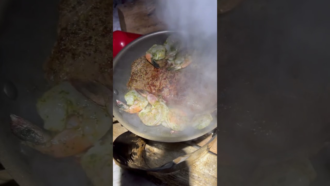 Winter camping at Algonquin Park / Wagyu Steak Garlic Shrimp MSR Whisperlite International