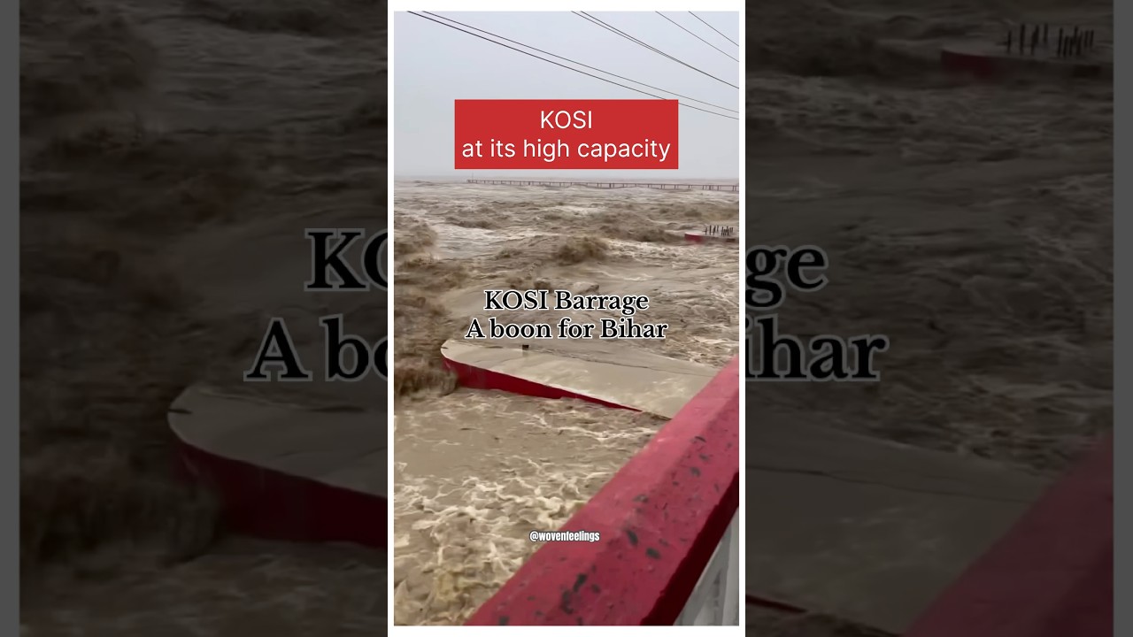 Kosi Barrage on High Alert | River Flow Crosses Danger Level 🚨 #bihar #river #disaster #shorts