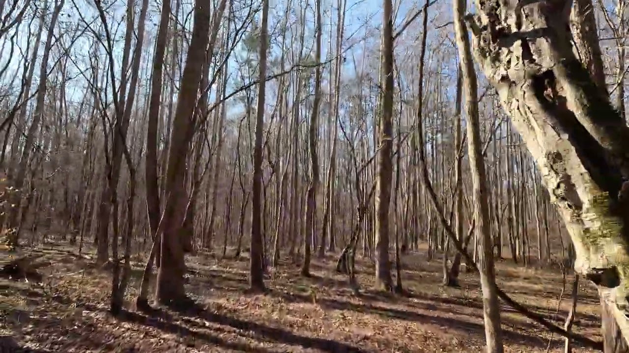 Riding with Rufus 12/30/25  