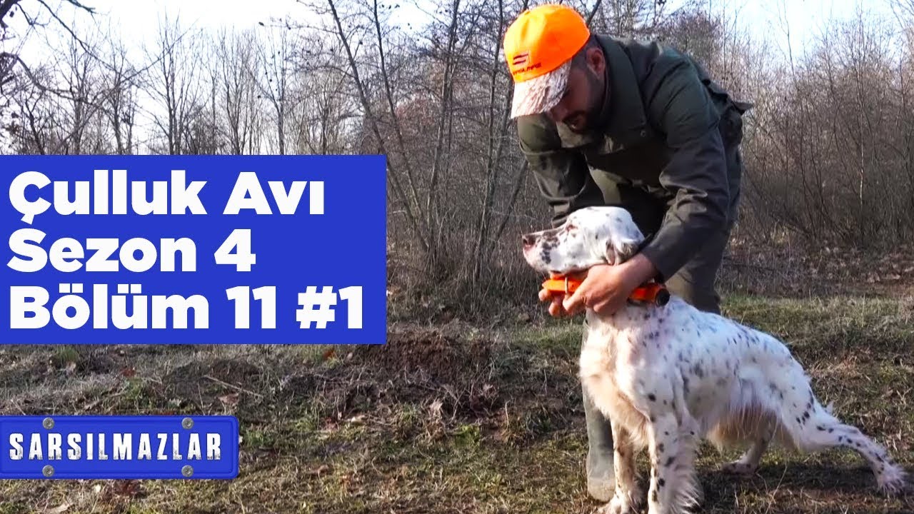 Çulluk Avı Sarsılmazlar 4. Sezon 11. Bölüm 1 Yaban TV Woodcock Hunting