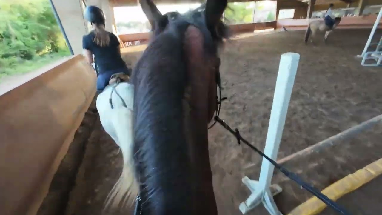 POV Cours de saut d'obstacles du 20 mai 2025 (chanson anti stress LOL)