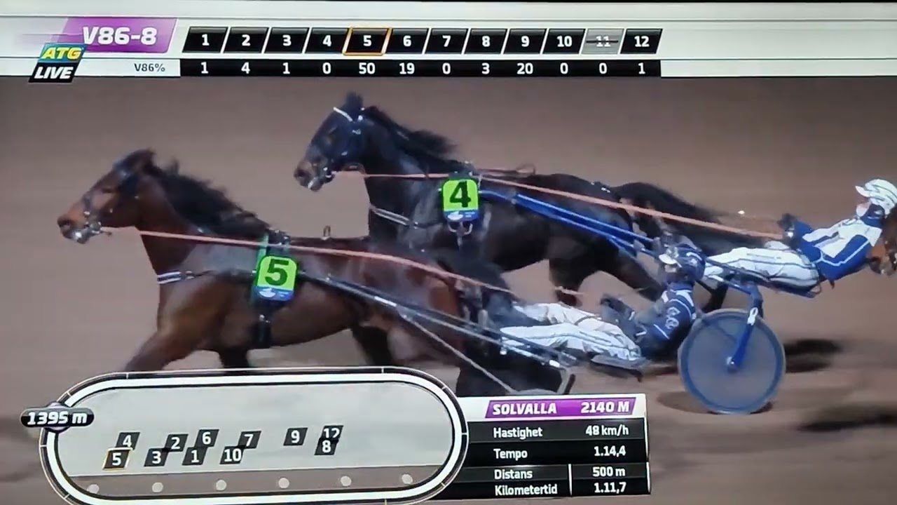 V86 Solvalla DD 2 Rya Håleryd