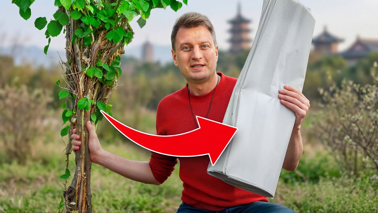 Как китайцы изобрели бумагу?