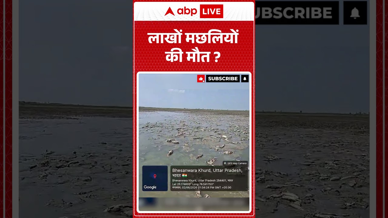 Viral Video : लाखों मछलियों की मौत ? | #ytshorts #watercrisis #viralnews #viral