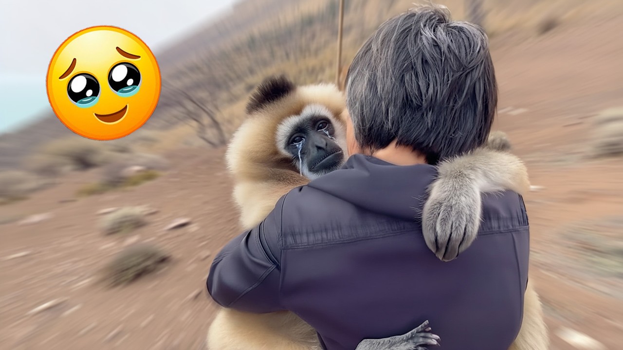 Animals Don’t Say “I Love You”… But These Moments Say It All.