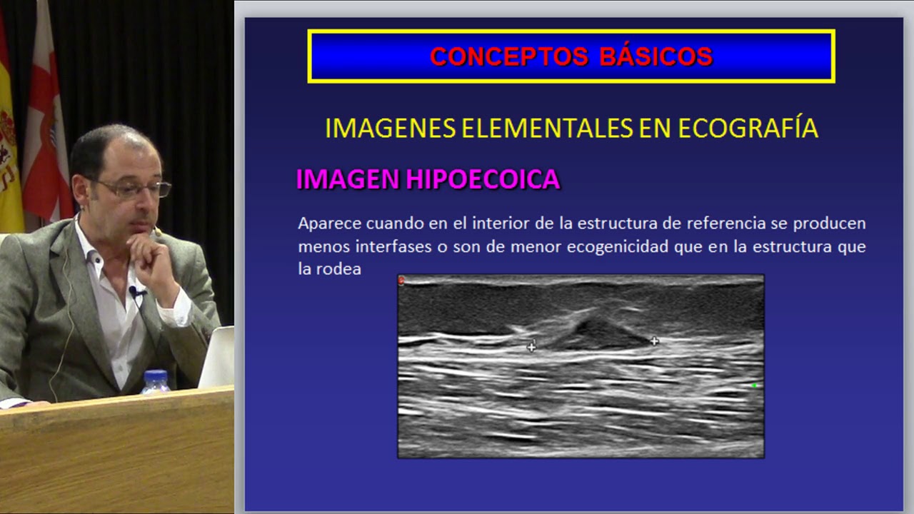 2018 conceptos basicos de ecografia del aparato locomotor