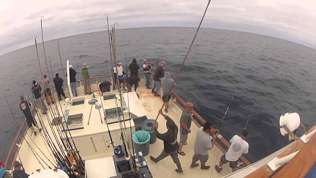 Long Range Fishing for Wahoo