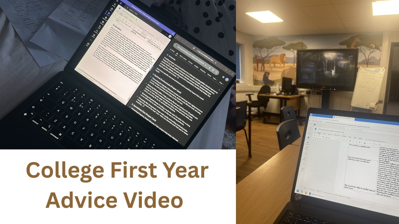 College First Year Advice Video