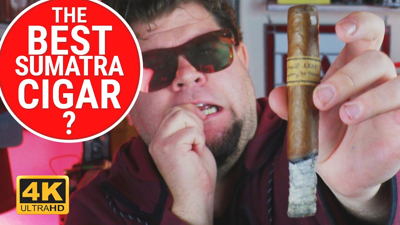 Is It GREAT or is it just a GIMMICK? Leaf by Oscar | Sumatra | Cigar Review