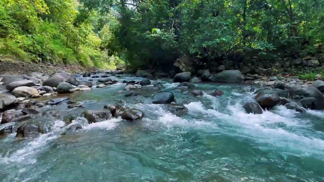 Relaxing River Sounds for Focus, Studying & A Peaceful Home 🌿 Relaxing Sleep Calming Anxiety