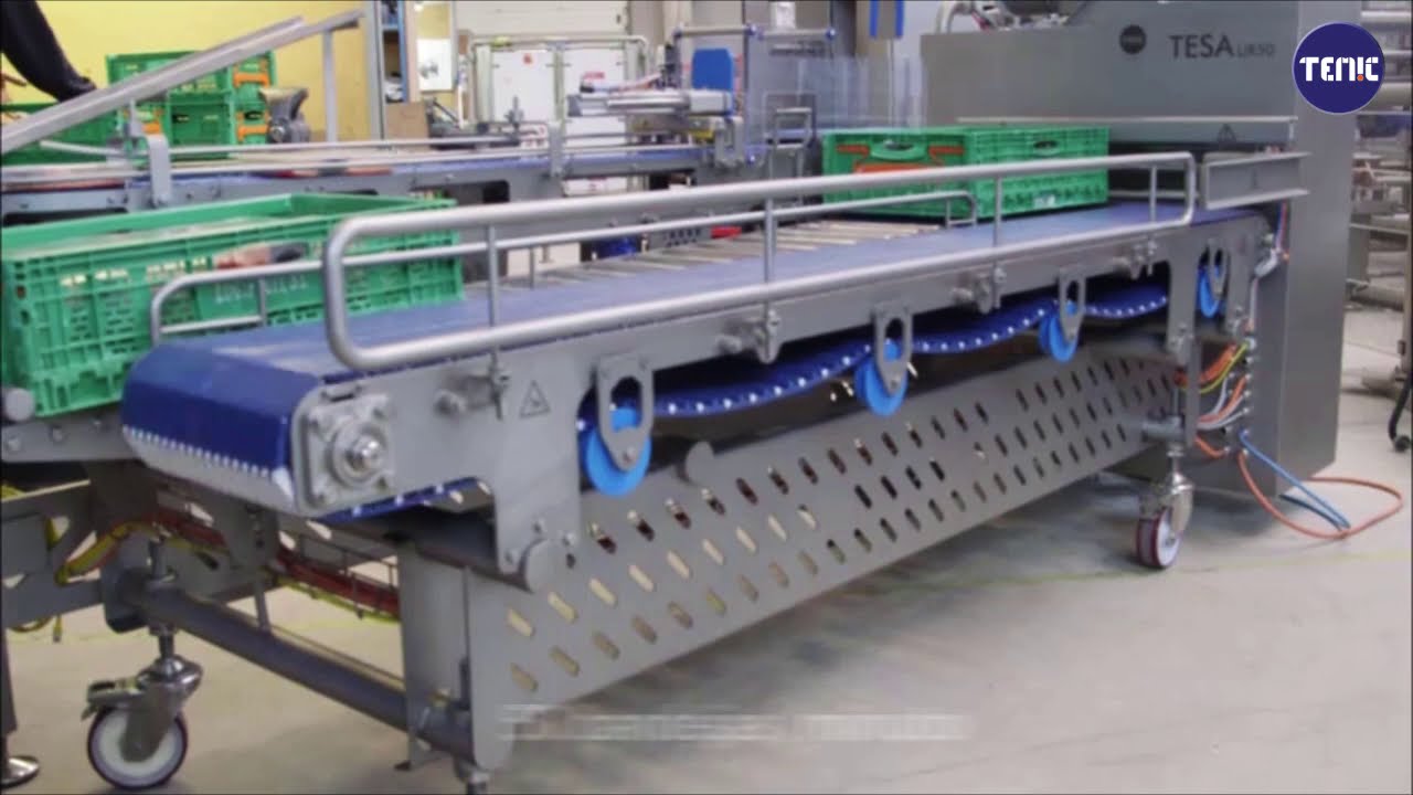 ENCAJADORA DE BANDEJAS CON ROBOT