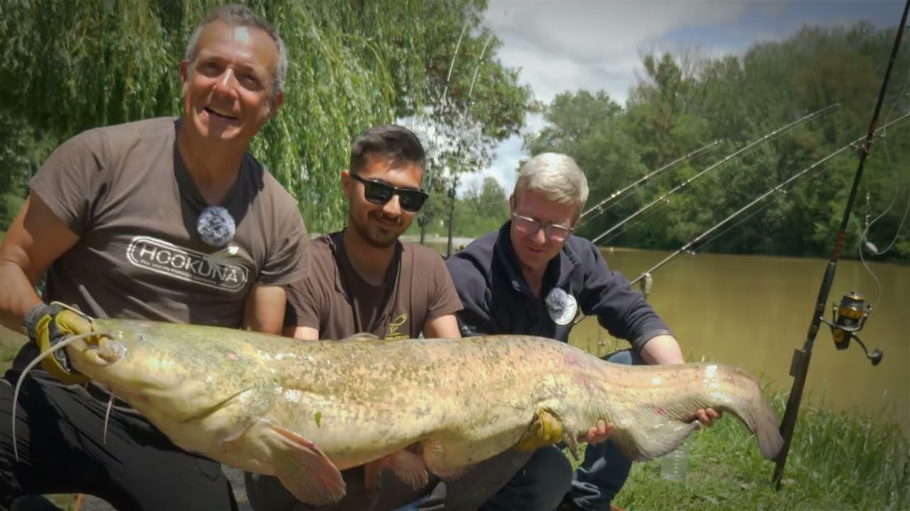 un pecheur en vadrouille   Pêche du silure sur le fleuve Aude