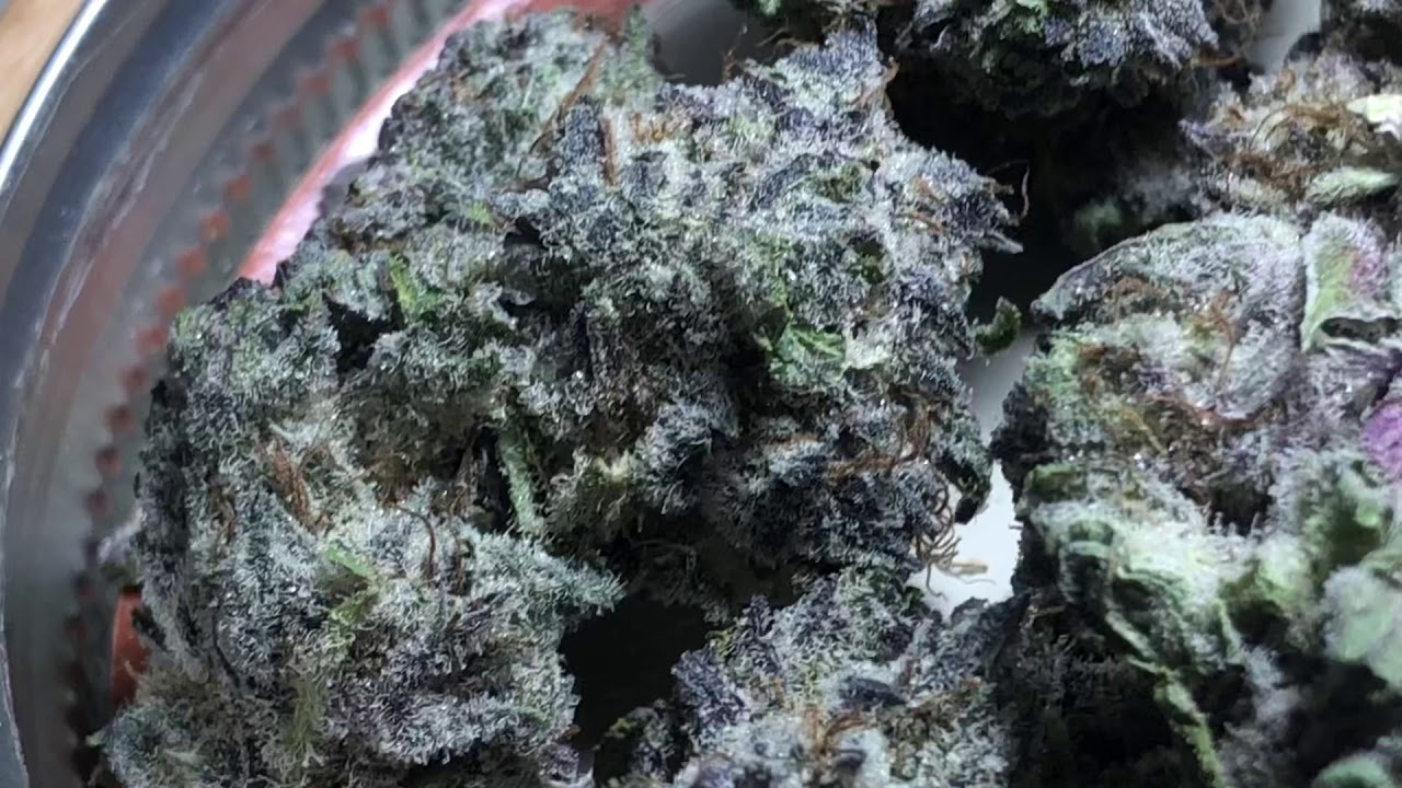 PURPLE ANIMAL COOKIES