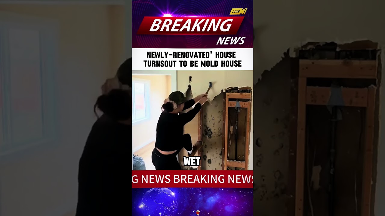 NEWLY-RENOVATED'HOUSETURNSOUT TO BE MOLD HOUSE 