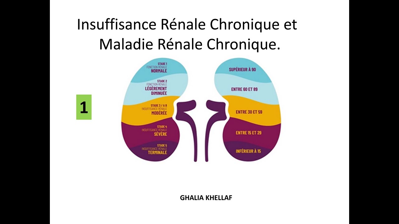 La Maladie Rénale Chronique 1