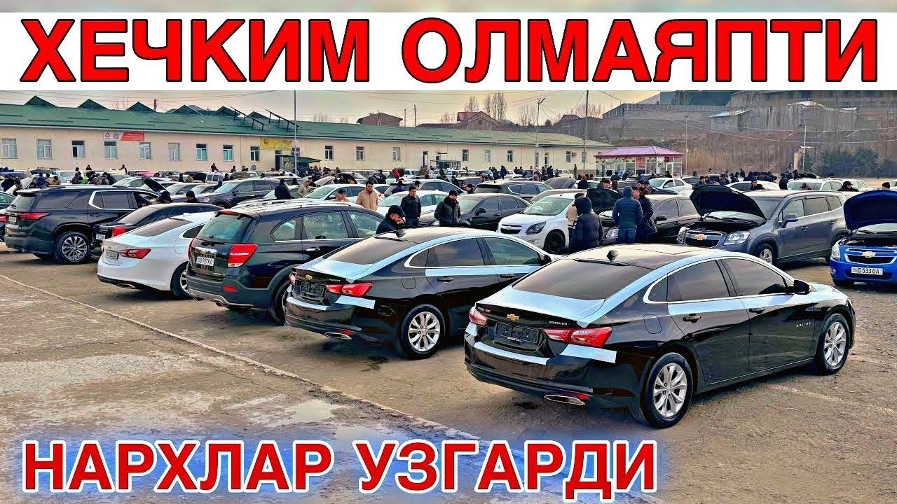 MALIBU NARXLARI SAMARQAND MOSHINA BOZORI 2026. МАЛИБУ НАРХЛАРИ САМАРКАНД МОШИН БОЗОР 2026