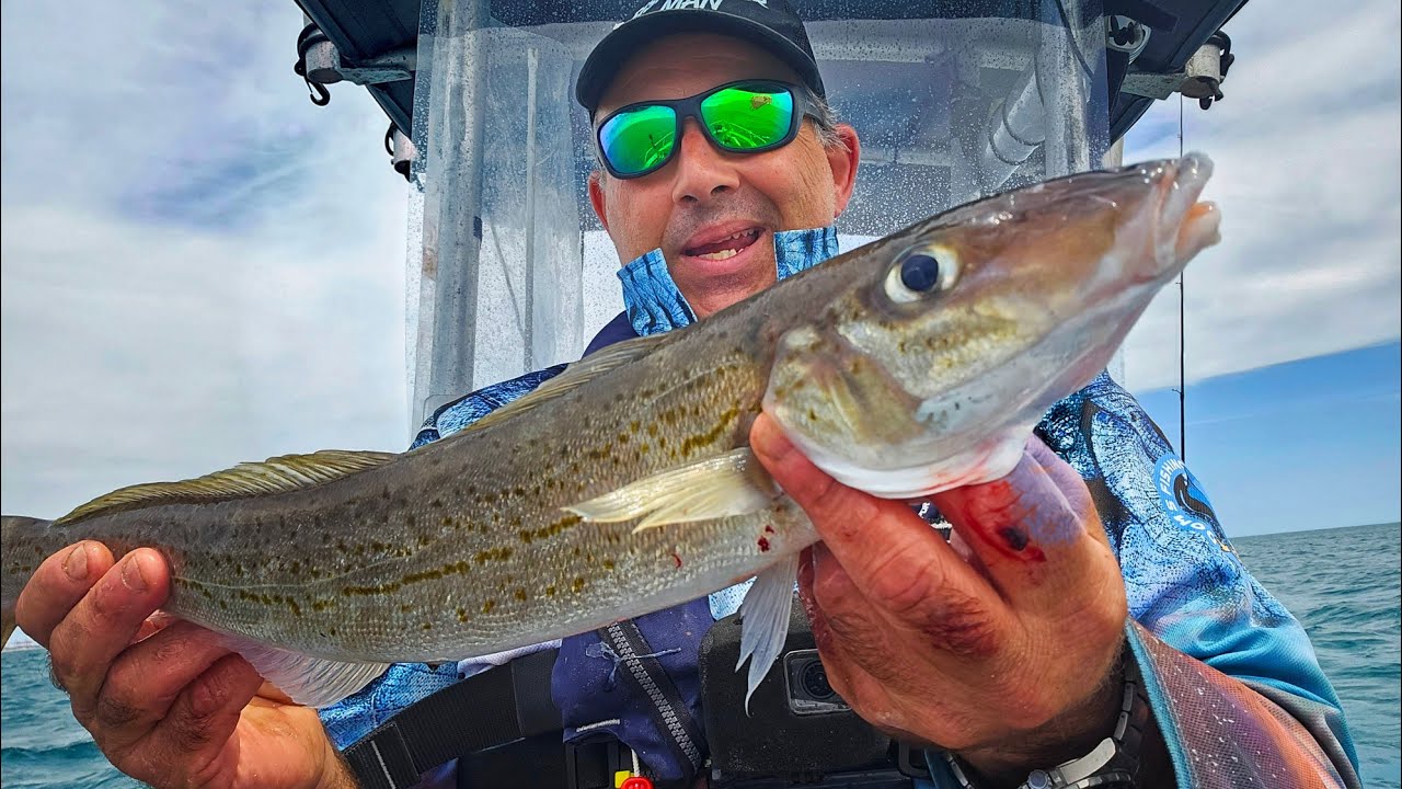 Fishing for Giant Whitings Hot Bite on a Windy Day