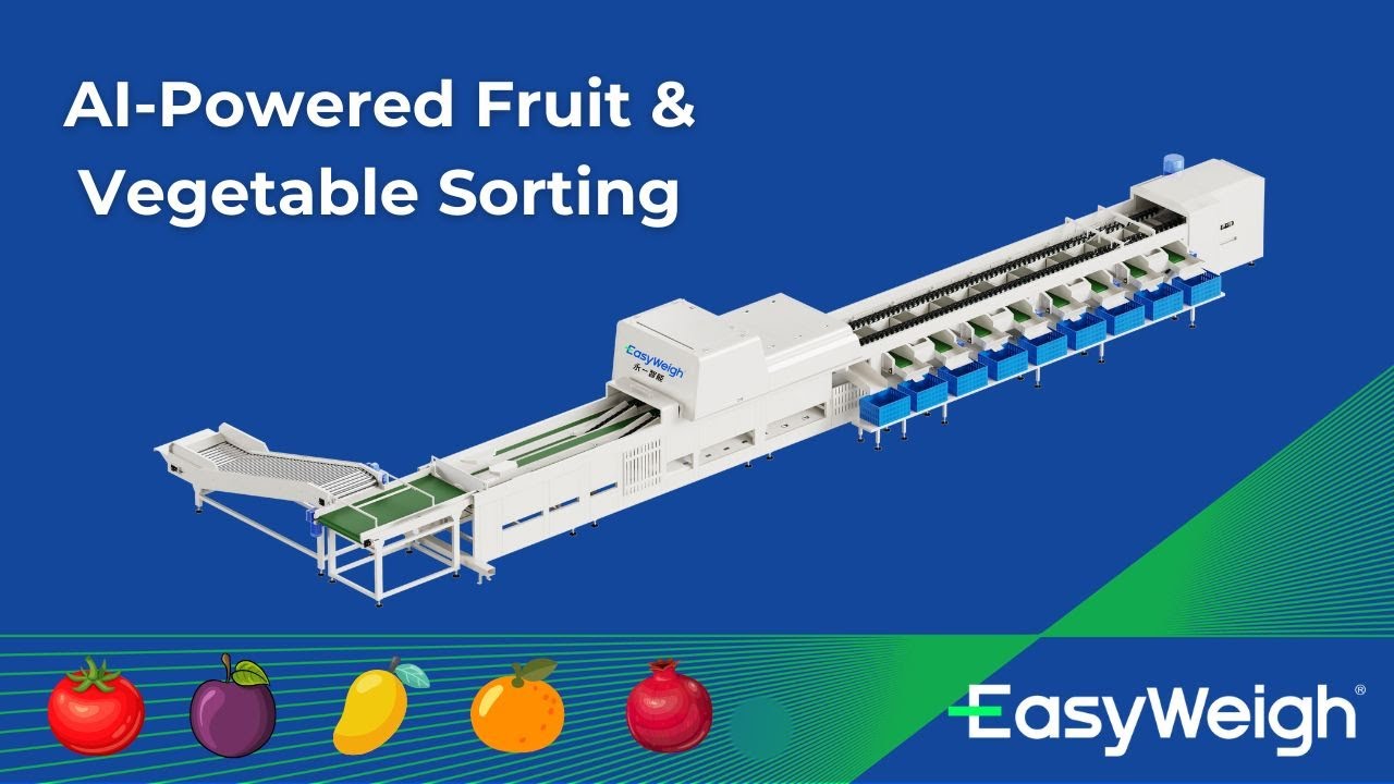 Easyweigh AI-Powered Fruit & Vegetable Sorting Machine | Smart Fruit Processing & Automation